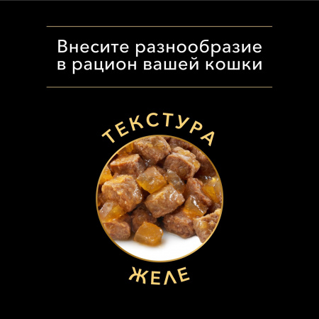 Влажный корм  Nutri Savour для котят, кусочки с курицей в желе 85 г