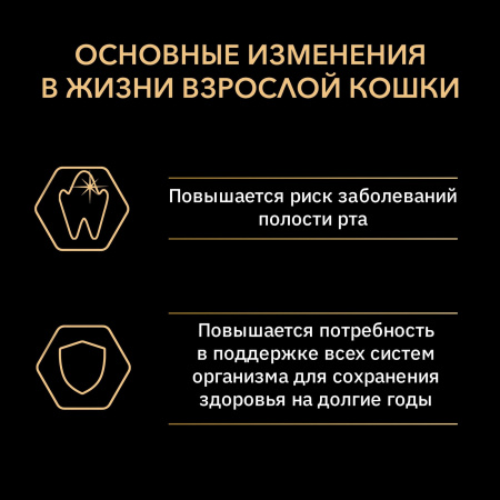 Влажный корм Adult Nutri Savour для взрослых кошек, кусочки с индейкой в желе 85 г