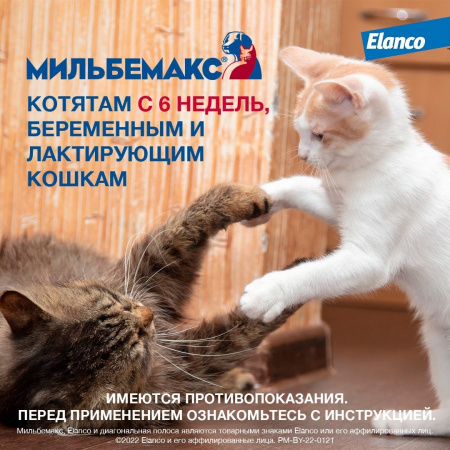 Мильбемакс®, таблетки от гельминтов со вкусом говядины для котят и маленьких кошек – 2 таблетки