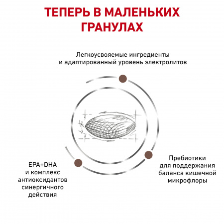 Для взрослых собак малых пород при нарушениях пищеварения 1 кг