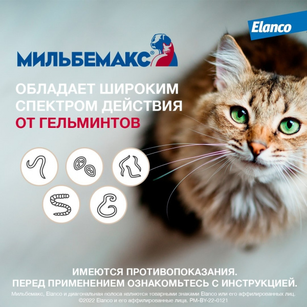 Мильбемакс®, таблетки от гельминтов со вкусом говядины для котят и маленьких кошек – 2 таблетки