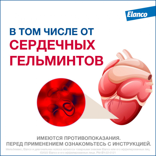 Мильбемакс®, таблетки от гельминтов со вкусом говядины для котят и маленьких кошек – 2 таблетки