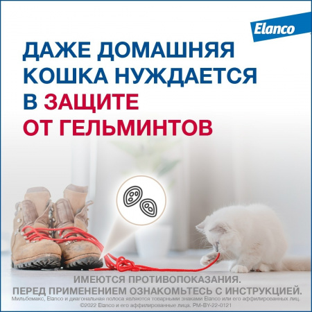 Мильбемакс®, таблетки от гельминтов со вкусом говядины для котят и маленьких кошек – 2 таблетки