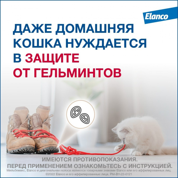 Мильбемакс®, таблетки от гельминтов со вкусом говядины для котят и маленьких кошек – 2 таблетки