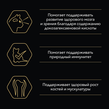 Влажный корм Nutri Savour для котят, с говядиной в соусе 85 г