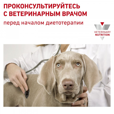 Для взрослых собак малых пород при нарушениях пищеварения 1 кг